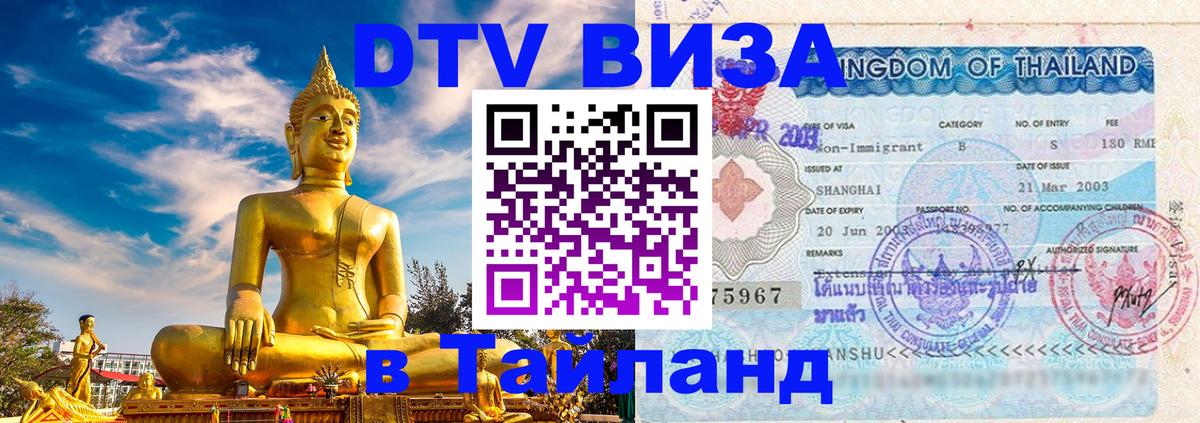 Оформление DTV визы под ключ: стоимость и тарифы, только загранпаспорт - 